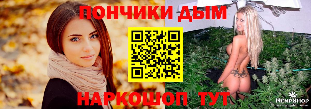 Марихуана план  Бошки Шишки гибрид  Элиста  Вход с VPN  МАРИХУАНА THC 21% 